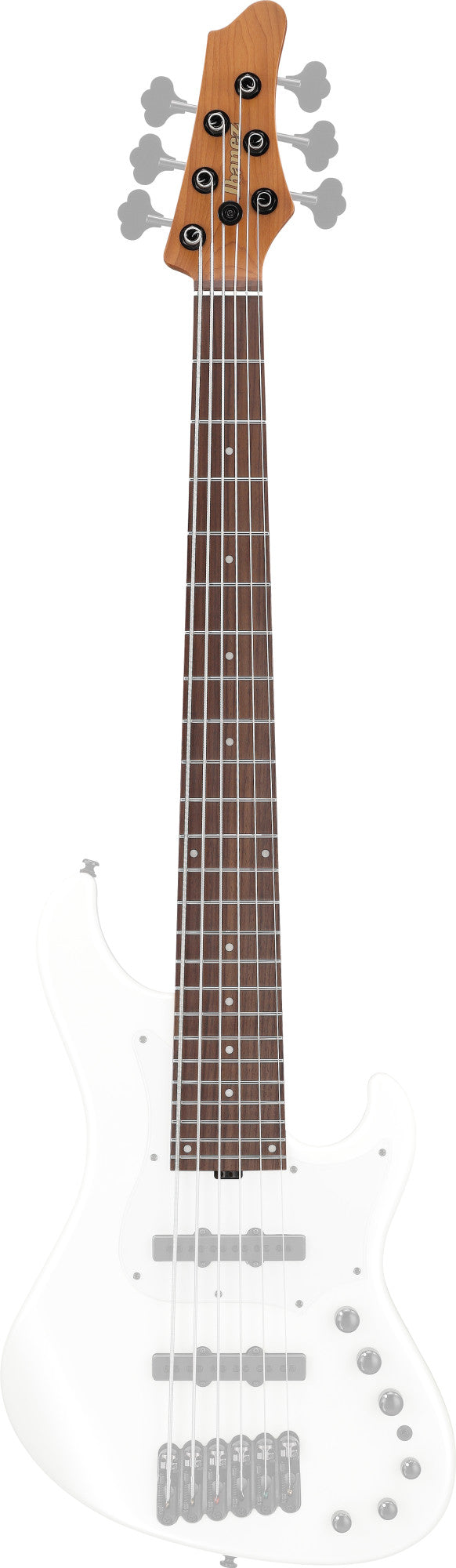 IBANEZ Hals für MDM1006