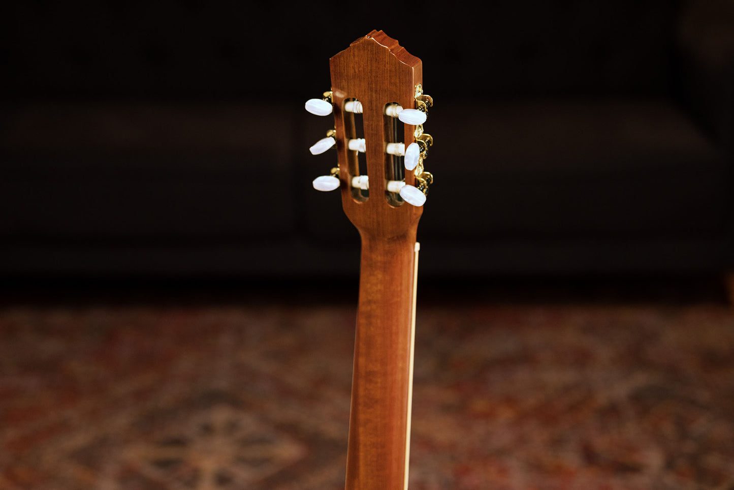 ORTEGA Family Series Pro 4/4 Classical Guitar 6 String Lefty - Solid Spruce / Mahogany Natural + Bag