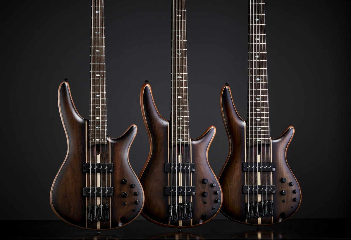 IBANEZ Premium SR E-Bass 5-String - Dual Mocha Burst Flat + Gigbag