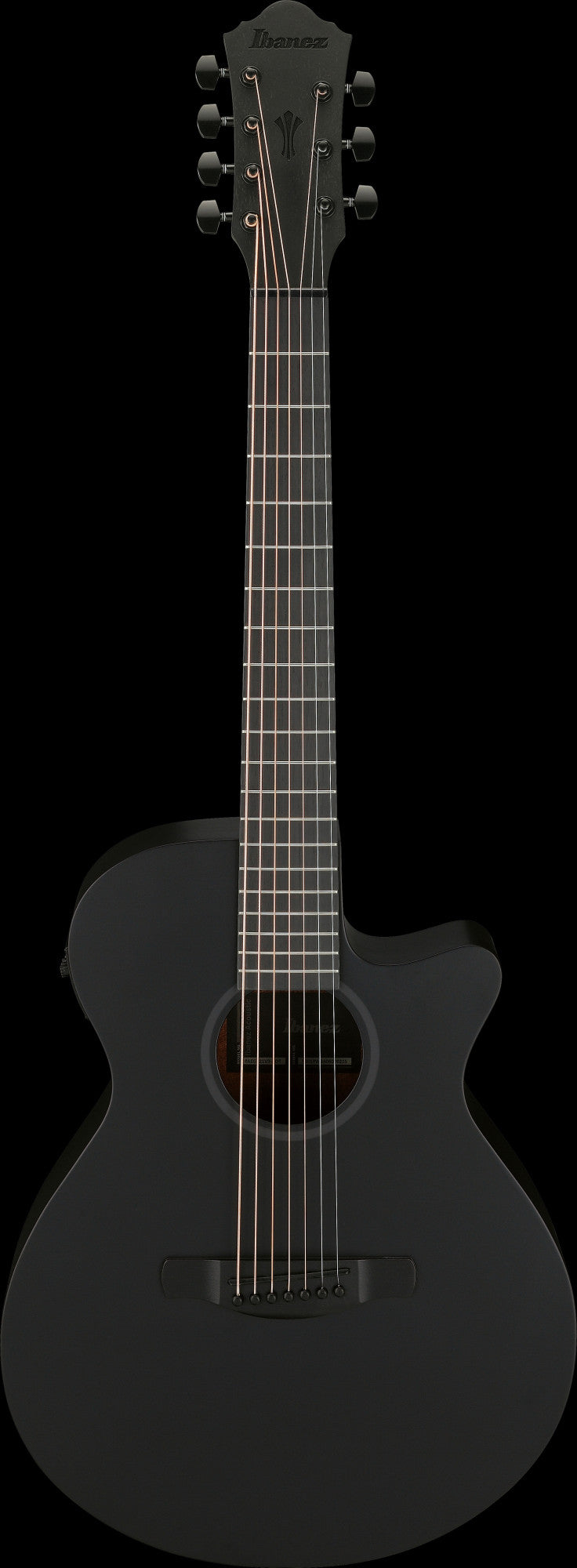 IBANEZ AEG Akustikgitarre 7-String - Black Out