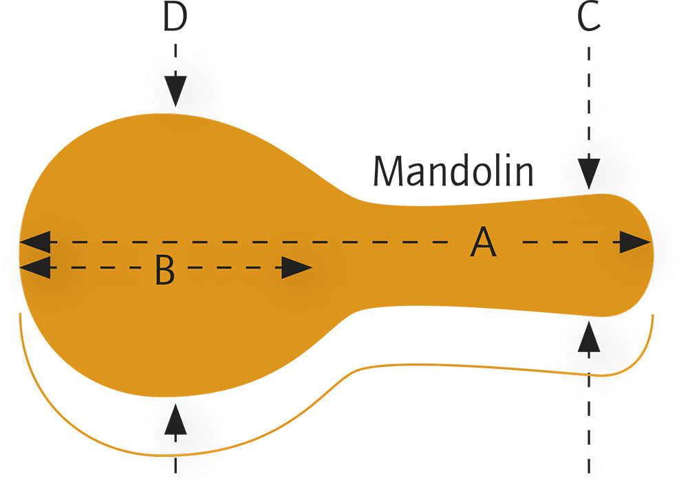 ORTEGA Economy A-Style Mandolin-Hardcase - Black