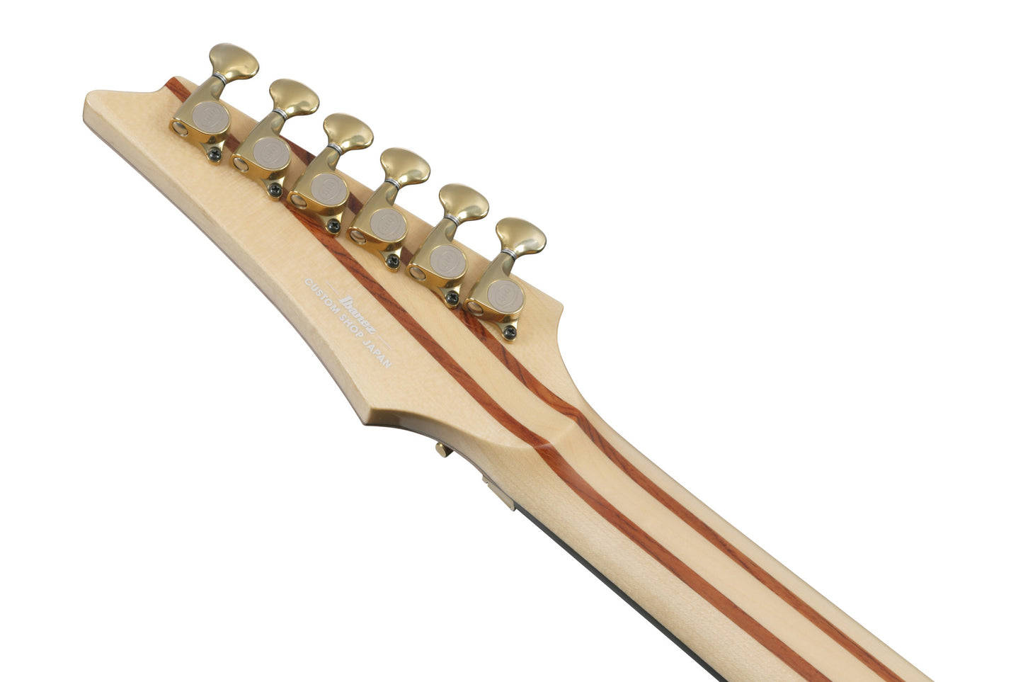 IBANEZ Visions RG E-Gitarre 6-String + Koffer