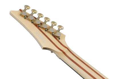 IBANEZ Visions RG E-Gitarre 6-String + Koffer