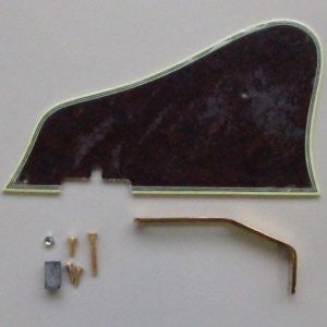 IBANEZ Pickguard AF207
