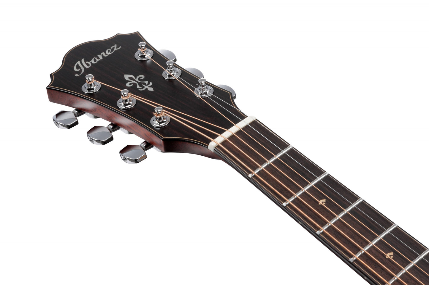 IBANEZ Platinum Collection Acoustic Guitar 6 String - Natural Low Gloss + Case