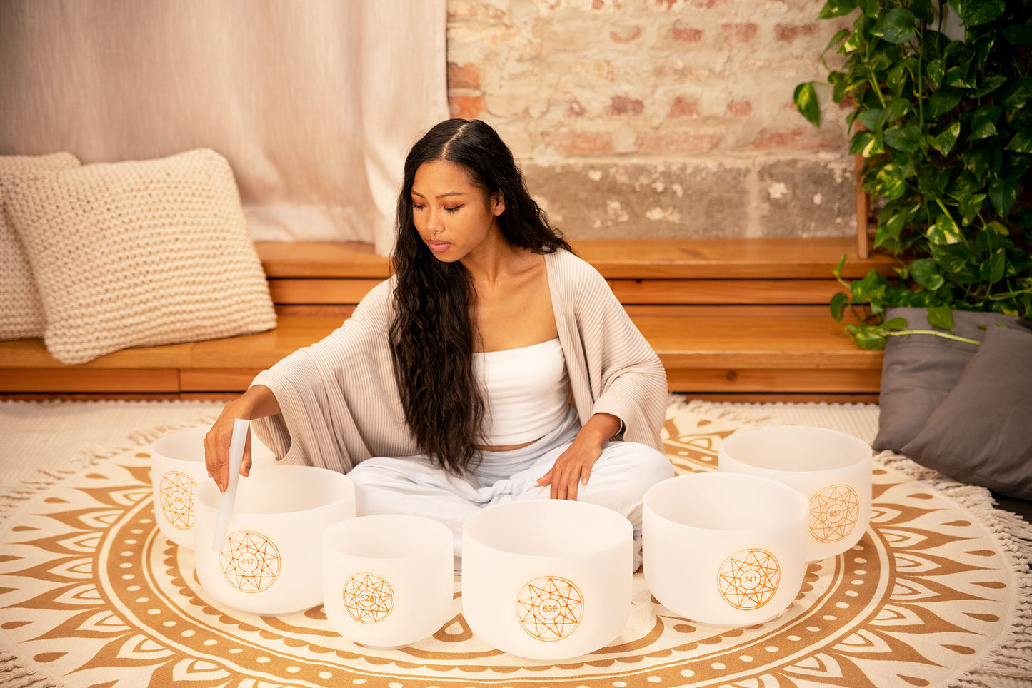 MEINL Sonic Energy Solfeggio Crystal Singing Bowl Set 6 pcs - Ut 396 Hz/Re 417 Hz/Mi 528 Hz/Fa 639 Hz/Sol 741 Hz/La 852 Hz