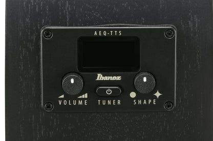 IBANEZ AEG Acoustic Guitar 6-String - Black Out