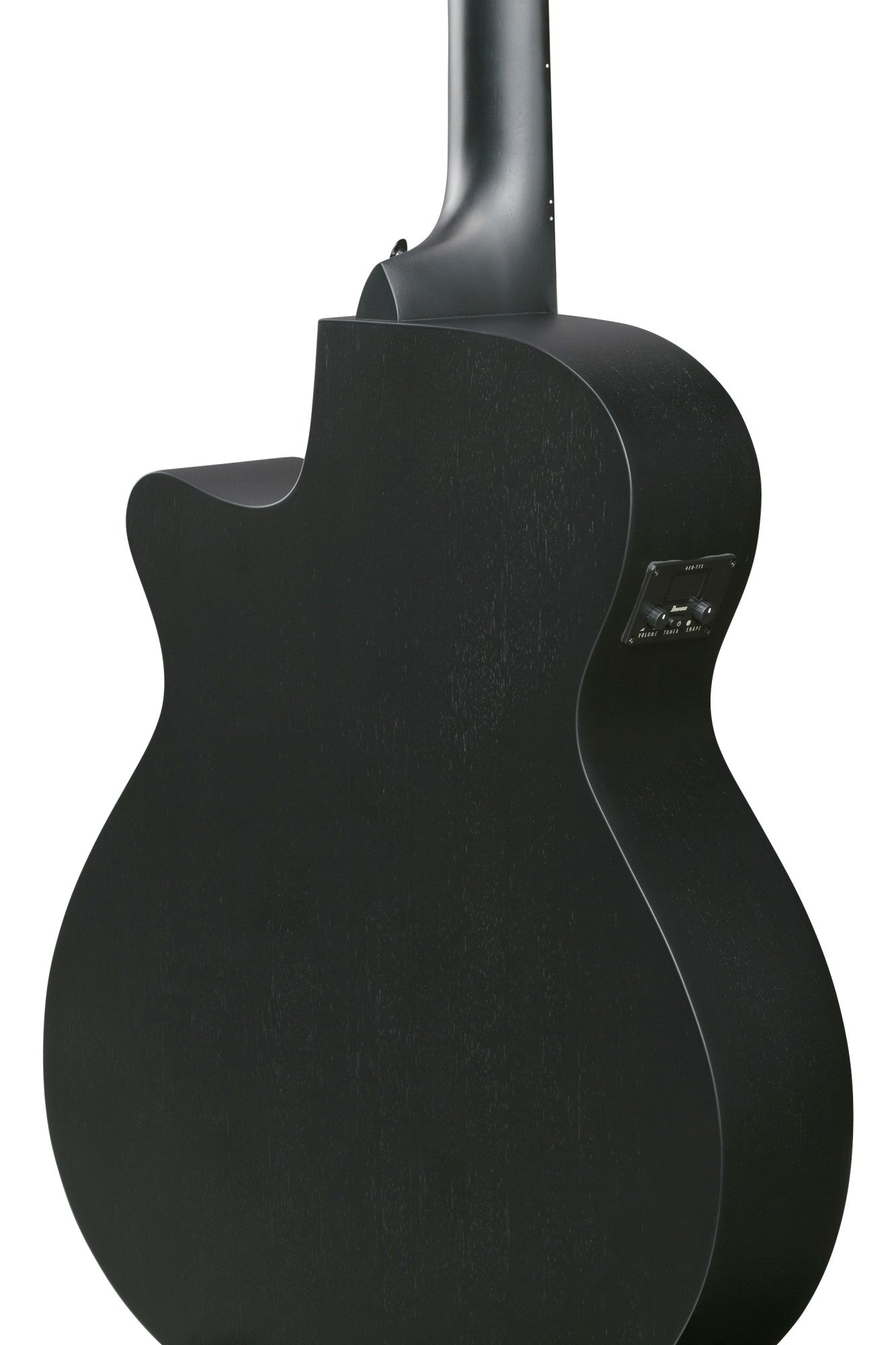 IBANEZ AEG Akustikgitarre 12-String - Black Out