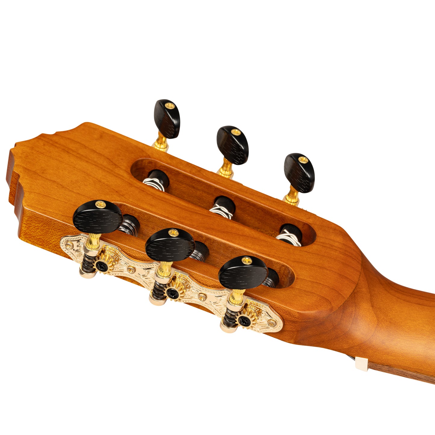 ORTEGA Thermo Series 4/4 Nylon String Guitar 6-String + Pro Gigbag
