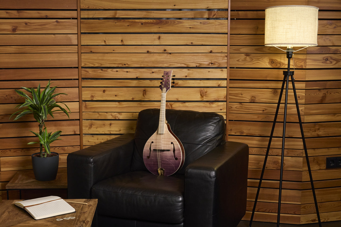 ORTEGA Americana Series A-Style Mandolin + Croco Leather Case
