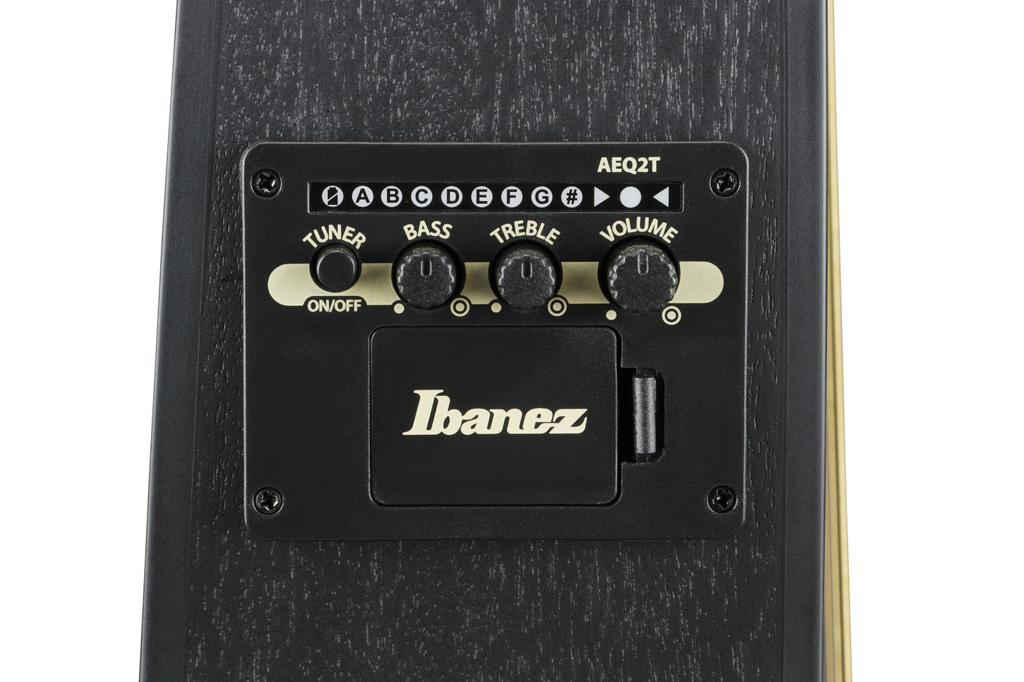 IBANEZ Talman Akustikgitarre 6-String - Black Out