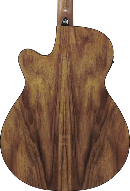 IBANEZ V Acoustic Guitar 6-String - Open Pore Brown