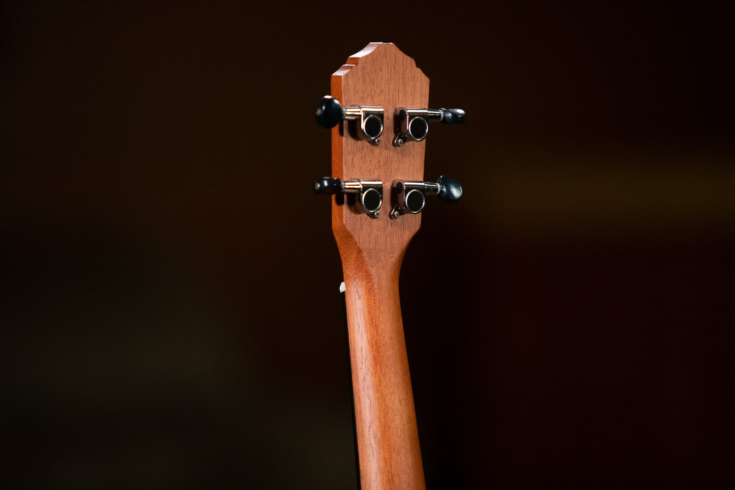 ORTEGA Bonfire Series Soprano Ukulele 4 String - Sapele Natural