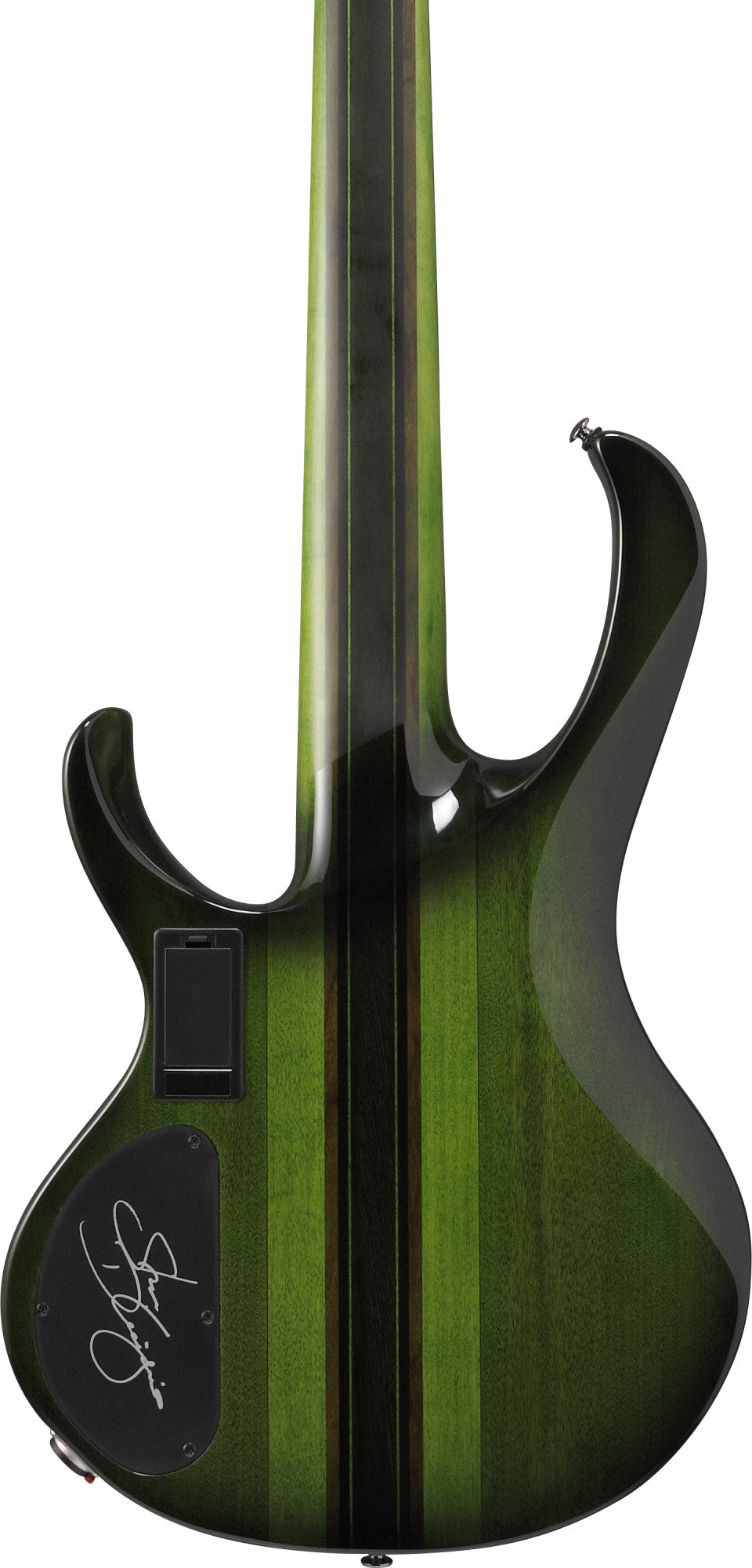 IBANEZ Steve Di Giorgio Signature E-Bass 5-String Fretless - Dark Moss Burst