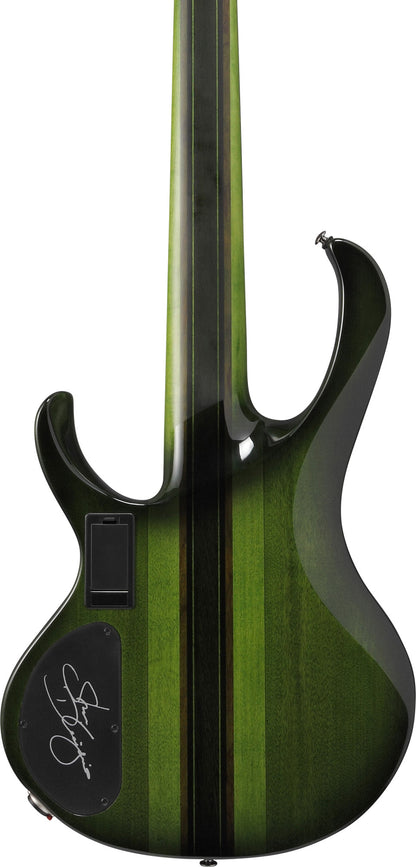 IBANEZ Steve Di Giorgio Signature E-Bass 5-String Fretless - Dark Moss Burst