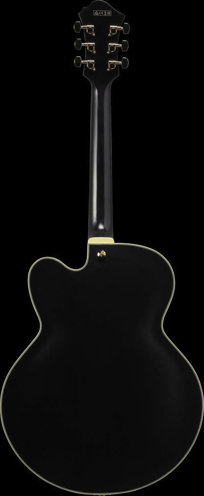 IBANEZ Pat Metheny Signature Hollow Body Guitar 6-String - Black Low Gloss + Case