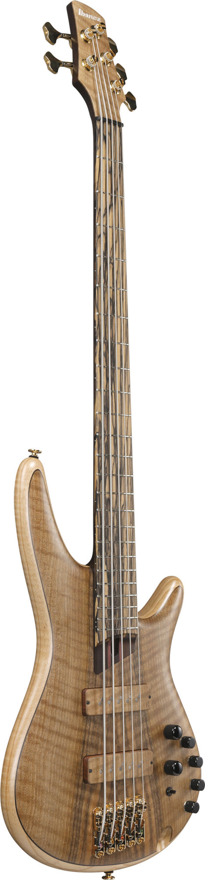 IBANEZ Visions SR Electric Bass 5-String + Case