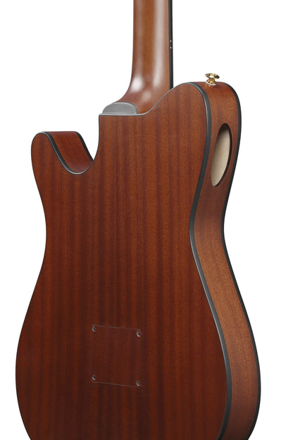 IBANEZ FRH Nylon String Guitar 6-String - Brown Sunburst Flat