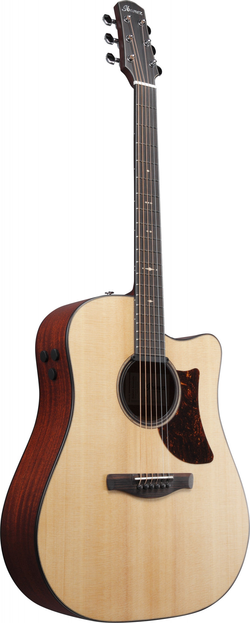 IBANEZ Platinum Collection Acoustic Guitar 6 String - Natural Low Gloss + Case