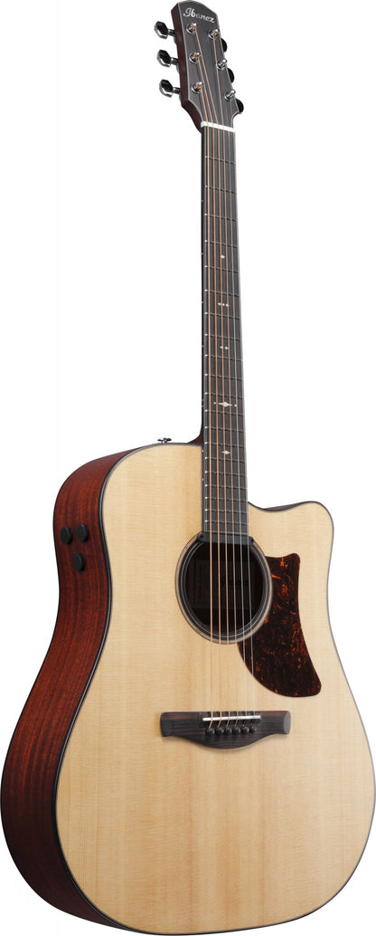 IBANEZ Platinum Collection Acoustic Guitar 6 String - Natural Low Gloss + Case