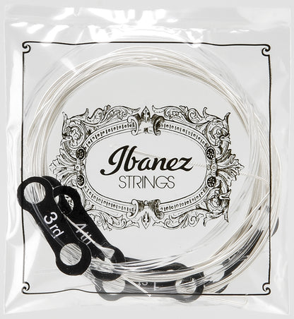 IBANEZ String Set for 6 String Acoustic Guitar - Normal