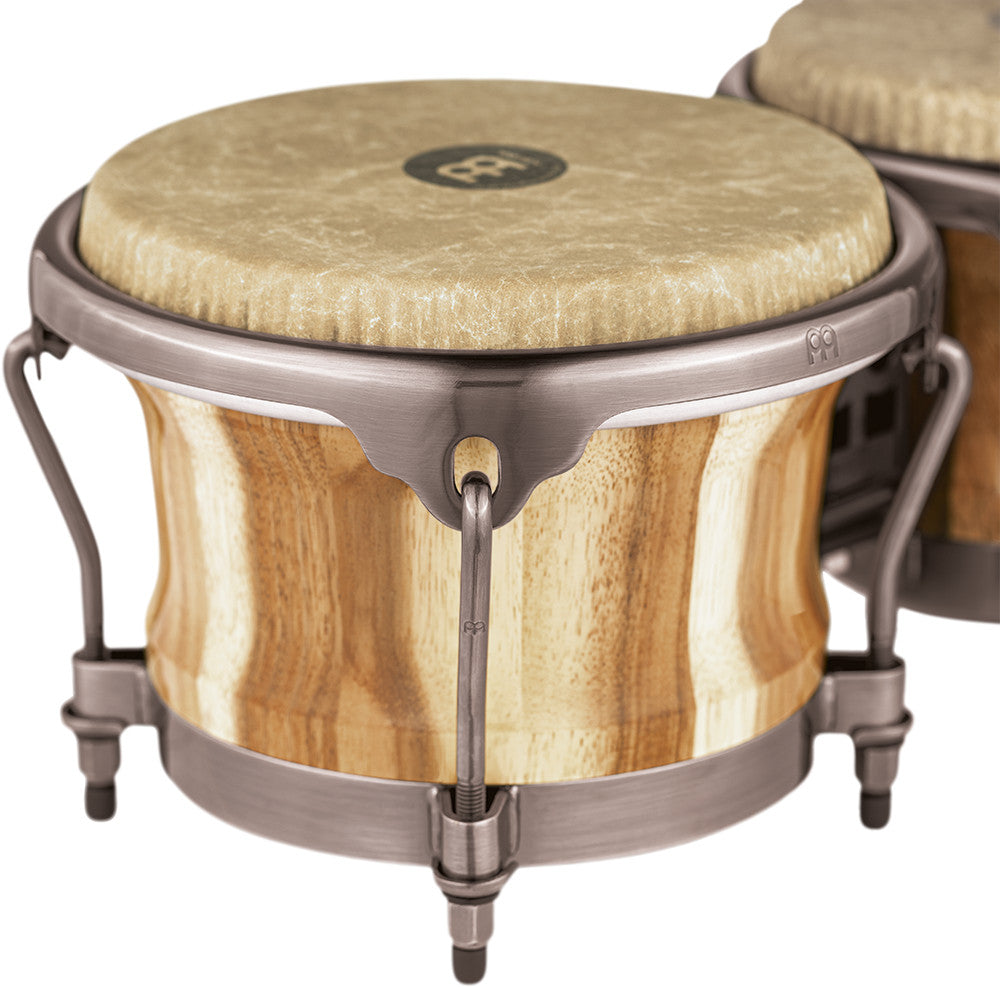 MEINL Percussion Artist Series Bongo Diego Galé, REMO® Fiberskyn® Heads - 7" & 8 1/2" Natural