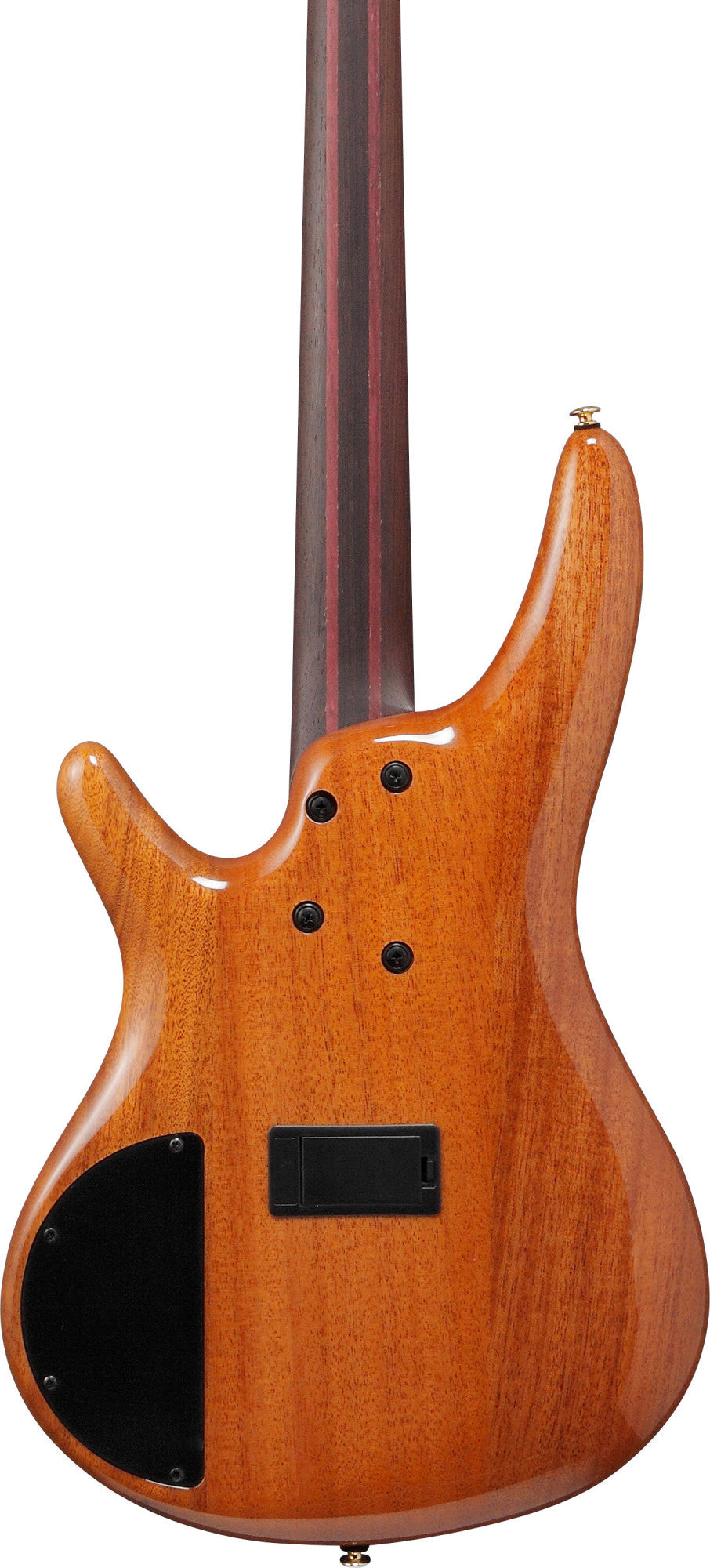 IBANEZ Premium SR Electric Bass 4-String - Autum Sunset Sky + Gig Bag