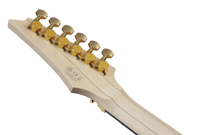 IBANEZ Prestige, Axe Design Lab RGA E-Gitarre 6-String - Black + Koffer