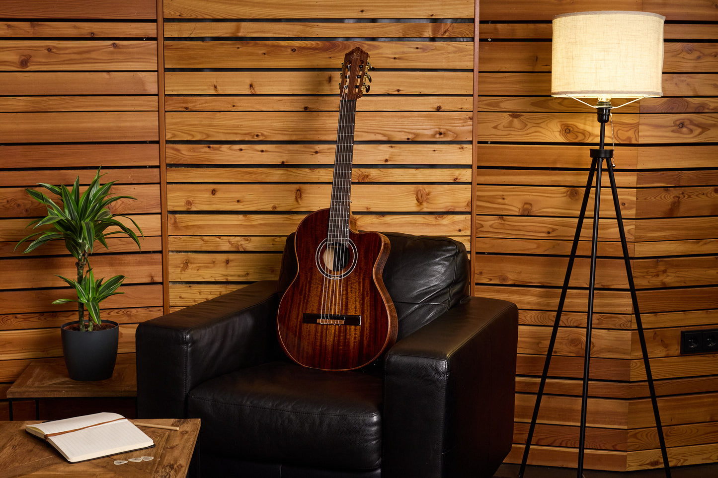 ORTEGA The Private Room 4/4 Konzertgitarre 6-String - Natural + Gigbag