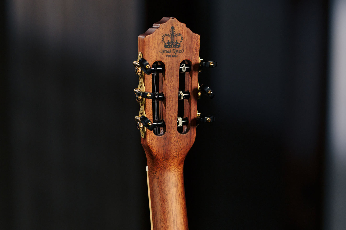 ORTEGA Thomas Zwijsen Signature Konzertgitarre 6-String + Softcase