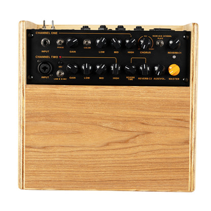 ORTEGA Amplification Series Amplifier Combo