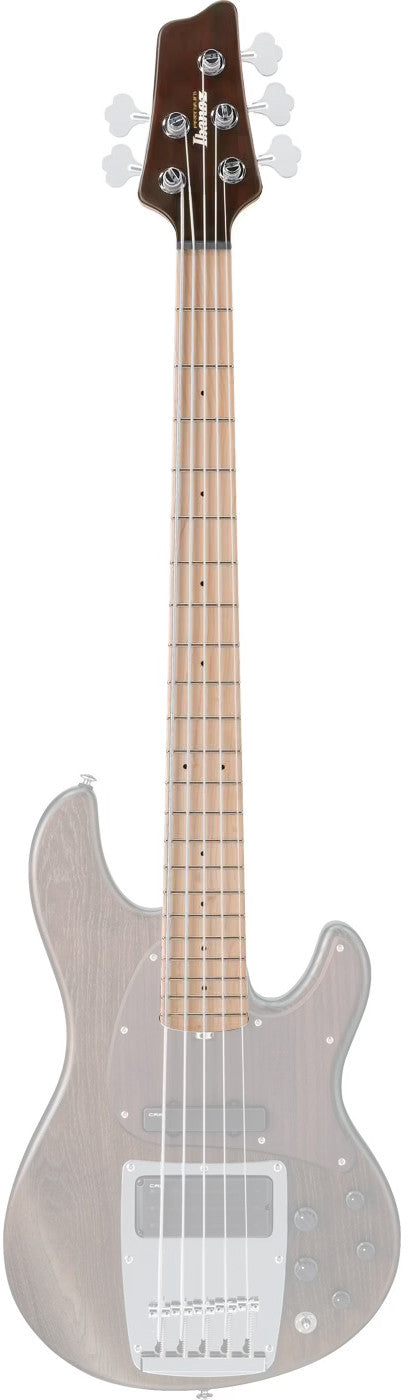 IBANEZ Hals für ATK805 5 String Bass