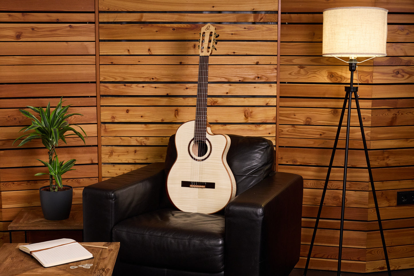 ORTEGA The Private Room 4/4 Konzertgitarre 6-String - Natural + Gigbag