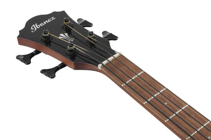 IBANEZ AEGB Acoustic Bass 4-String - Black High Gloss