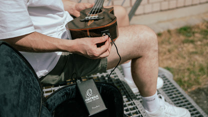 ORTEGA Power Bank - 10000mAh