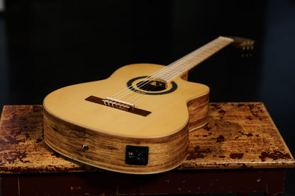 ORTEGA Thomas Zwijsen Signature Konzertgitarre 6-String + Softcase
