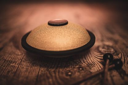 MEINL Sonic Energy Mini Steel Tongue Drum 6" - H Dur/6 Töne/440 Hz - Gold
