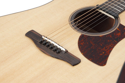 IBANEZ Platinum Collection Acoustic Guitar 6 String - Natural Low Gloss + Case