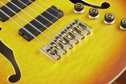 IBANEZ Thundercat Signature Hollow Body Bass 6-String - Autumn Leaf Burst Matte + Koffer