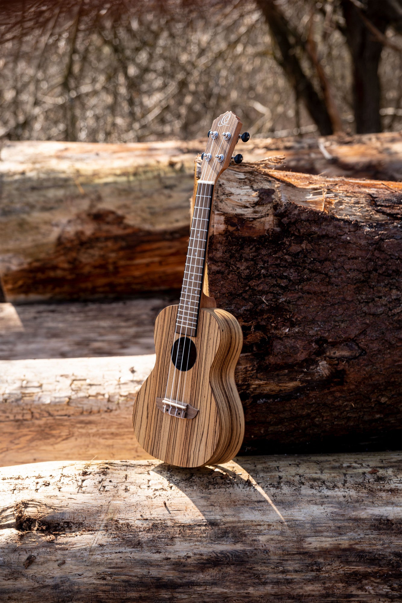 ORTEGA Timber Series Concert Ukulele 4 String - Zebrawood Natural + Bag