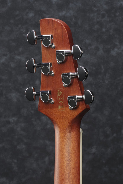 IBANEZ Talman Acoustic Guitar 6-String - Open Pore Natural