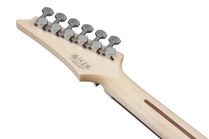 IBANEZ Joe Satriani Signature E-Gitarre 6-String - "Chrome Boy" + Koffer