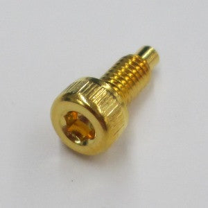 IBANEZ Schraubenset für Lo-Pro Edge String Stopper - gold / 2 Stück