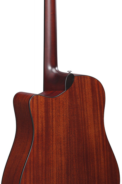 IBANEZ Platinum Collection Acoustic Guitar 6 String - Natural Low Gloss + Case