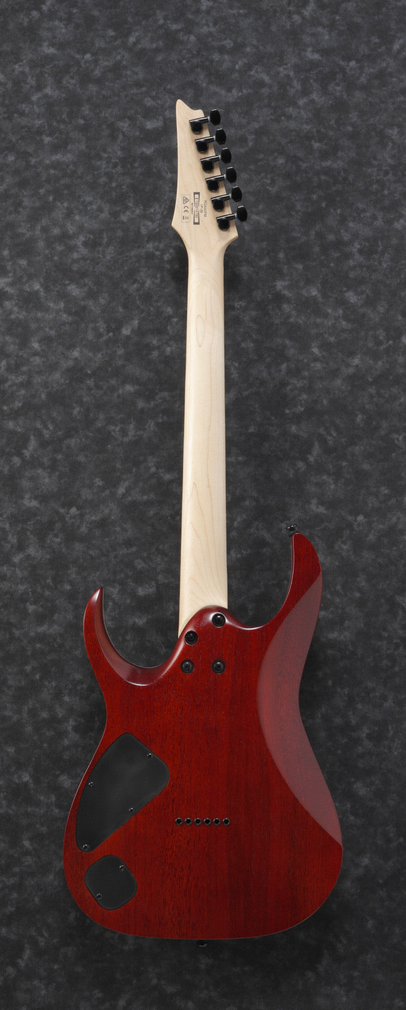 IBANEZ RGA E-Gitarre 6-String - Transparent Grey Flat
