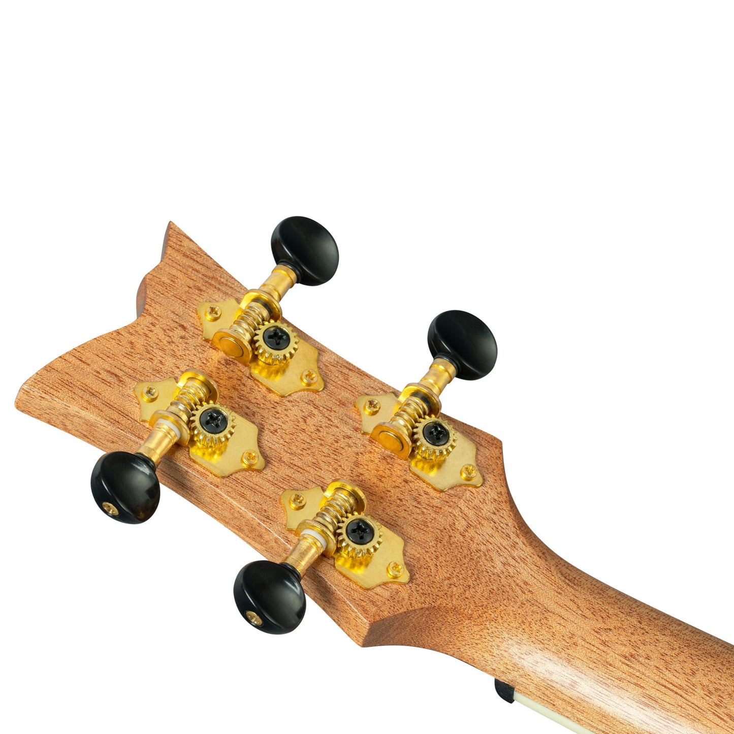ORTEGA Ghost Series Tenor Ukulele 4 String