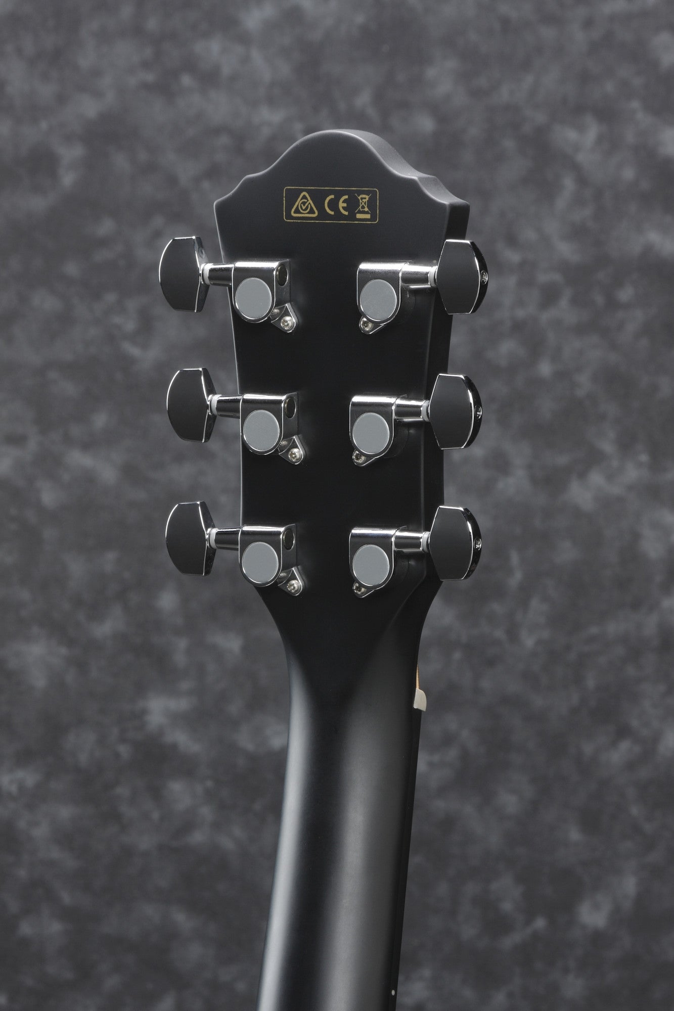 IBANEZ AEG Acoustic Guitar 6-String - Black
