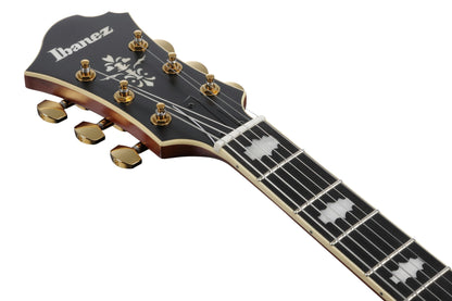 IBANEZ Pat Metheny Signature Hollowbody Gitarre 6-String - Natural + Koffer
