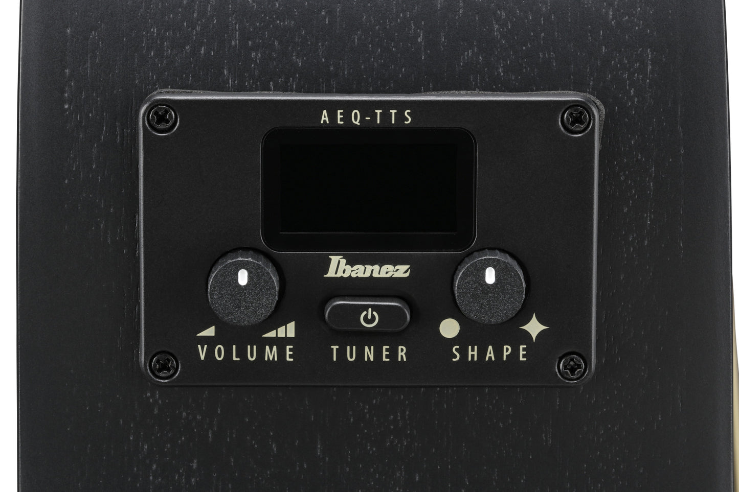 IBANEZ AEG Akustikgitarre 12-String - Black Out