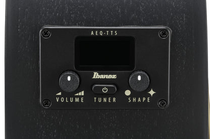 IBANEZ AEG Akustikgitarre 12-String - Black Out